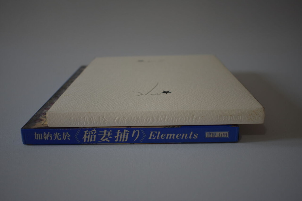 No.26 瀧口修造＋加納「稲妻捕り」 (3)