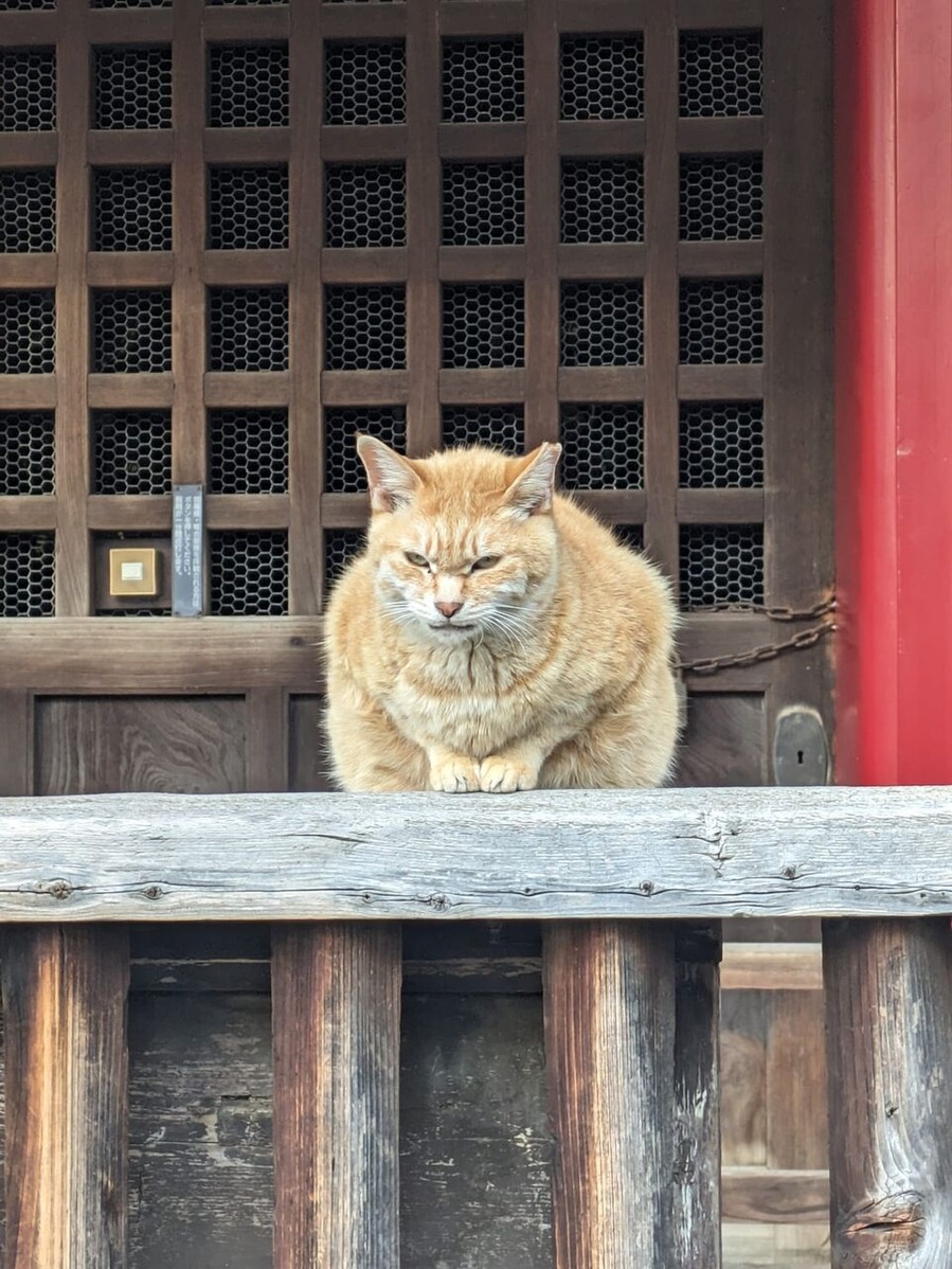 476162466_1335939807717193_612753356017252954_n