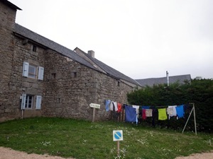 24ル・ソヴァージュ 洗濯