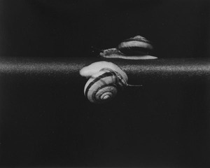 肉体と鉄棒 20-1