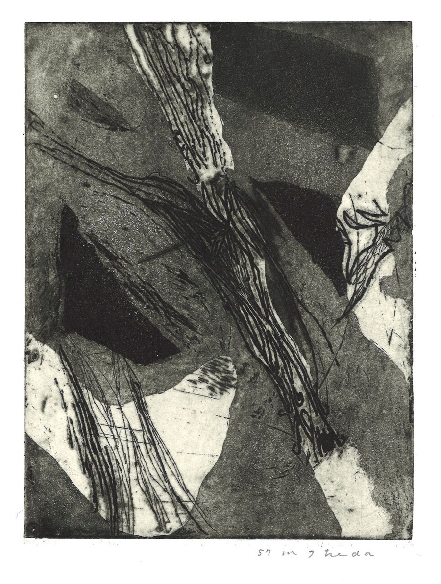 池田満寿夫　初期銅版画 34点 (20)