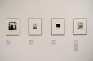 東京国立近代美術館12