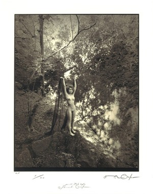 妖精たちの森　1