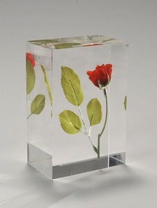 Sealing of rose（薔薇の封印）