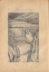 駒井哲郎象とさると・挿画9