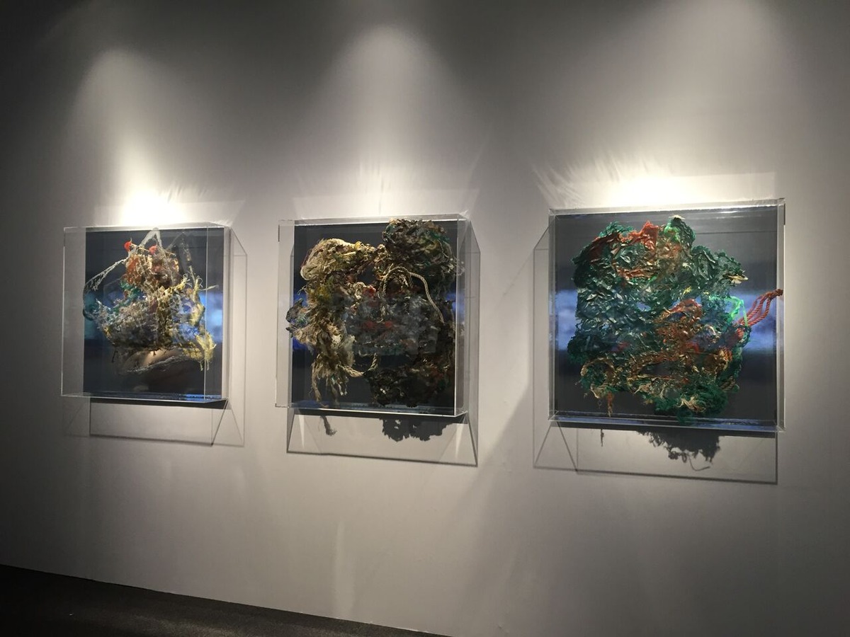 陸の海ごみ写真3