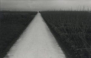 植田正治_童暦シリーズ_白い道600