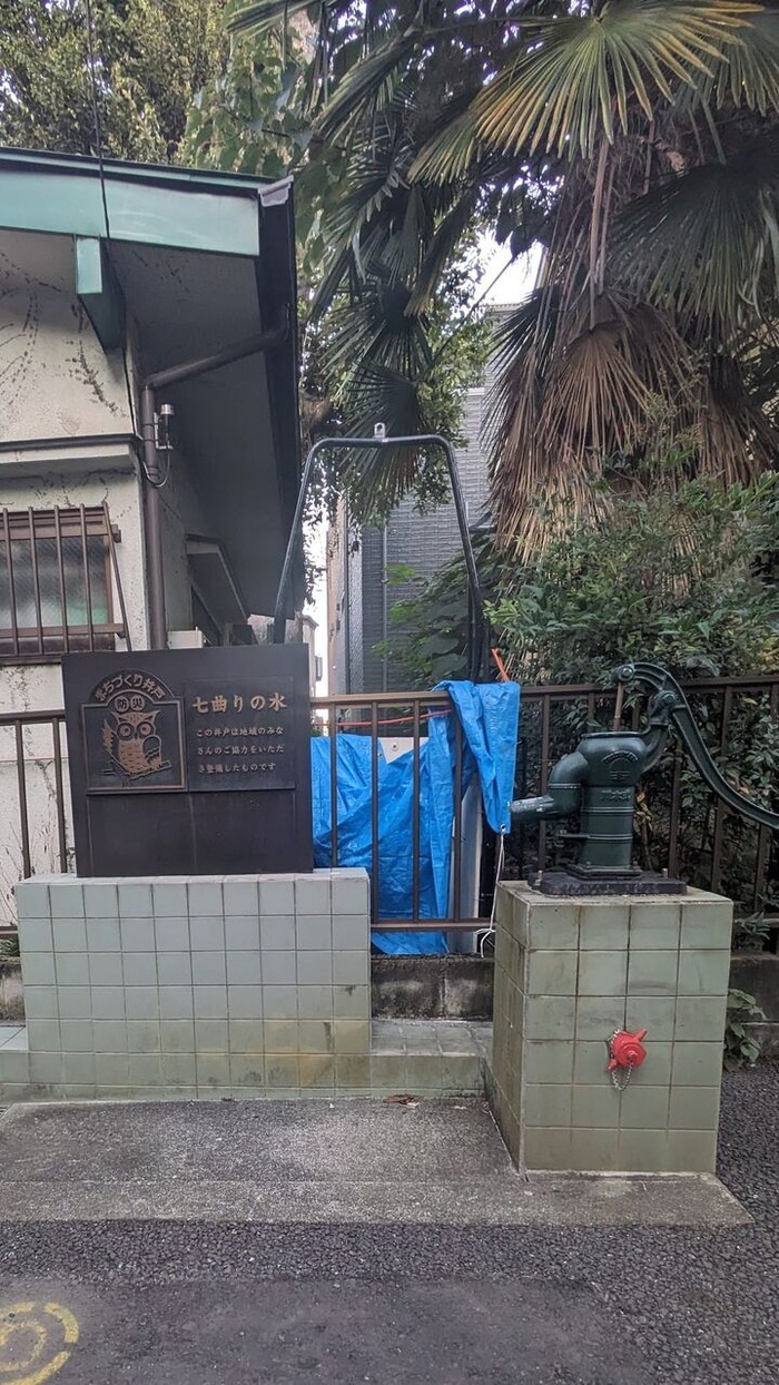 459269580_1231443561500152_6360356128379058635_n