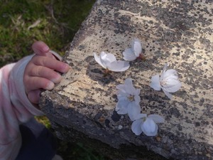 530093_3786725550415_1210306578_n