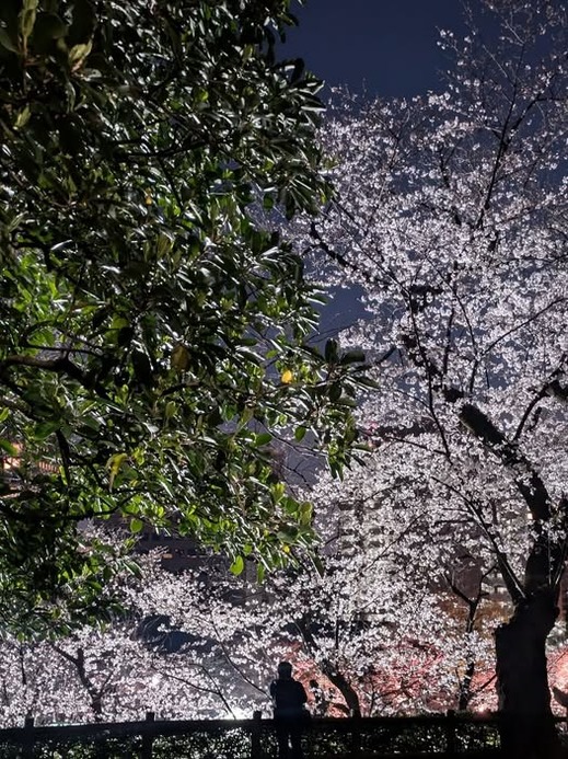 487376008_1373354340642406_6189105155868684848_n