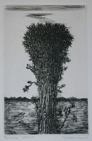 DSCN1019駒井「大樹を見上げる魚」