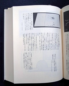 図16-8 『コレクション』115頁