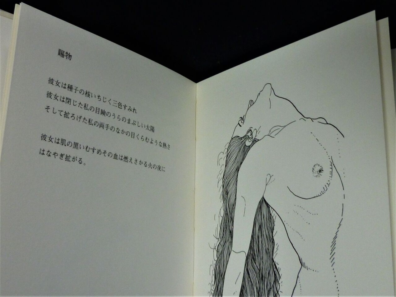 図版１０.同上、内容の一部（約53頁）