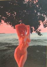 横尾忠則タヒチⅠ-A