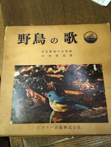 20190805小国貴司写真３