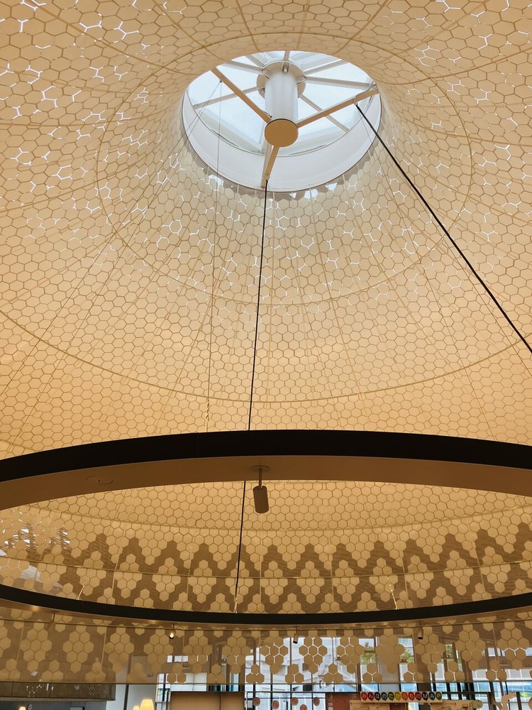 杉山幸一郎230710_3