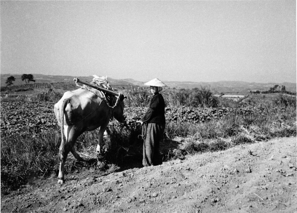 202008平嶋彰彦_ph3-0334_26B