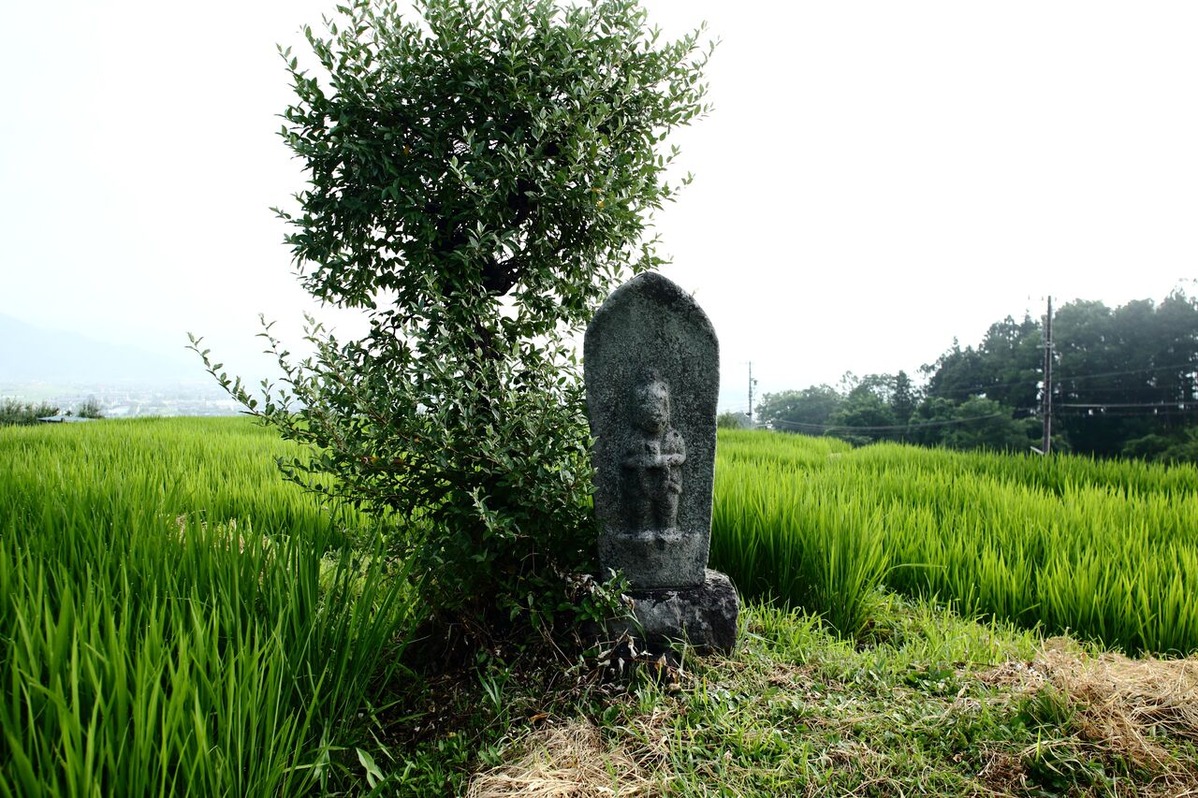 202102平嶋彰彦‗ph5-6V7A3858-b