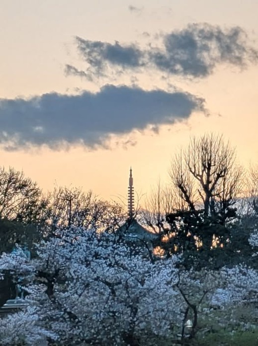 489800012_1381701149807725_6604080325772558263_n