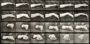 muybridge532