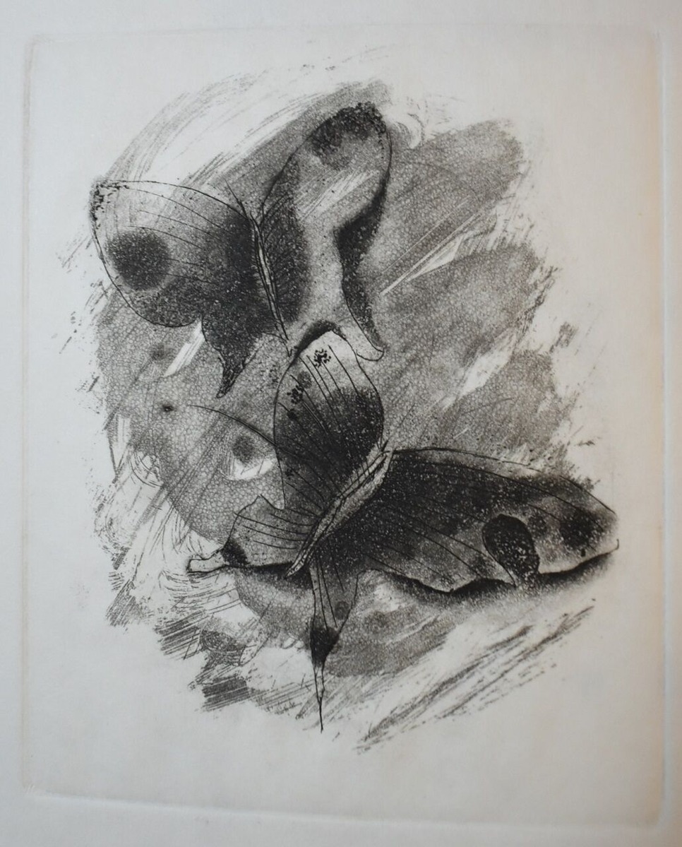 詩画集「夢のそとで」001