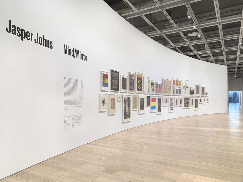 medium_JASPER_JOHNS_INSTALL_068_SM