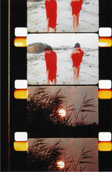 メカス・モントーク