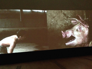 hamada_3_1 (10) のコピー