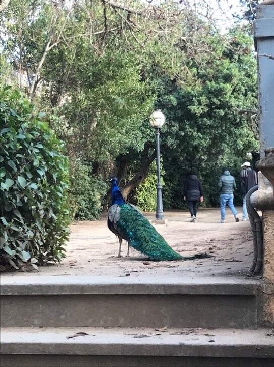 根岸文子20230321_19