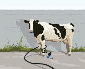 Stray Cow（Io Was Driven Into A Corner）