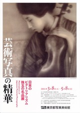 芸術写真の精華表