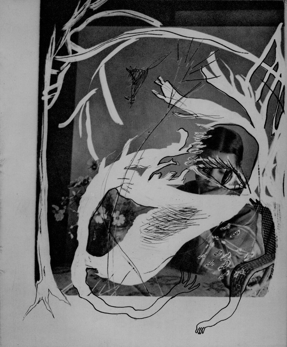 『みづゑ』373号_p216