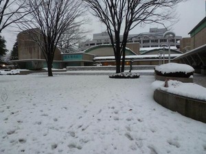 世田谷美術館植田撮影600