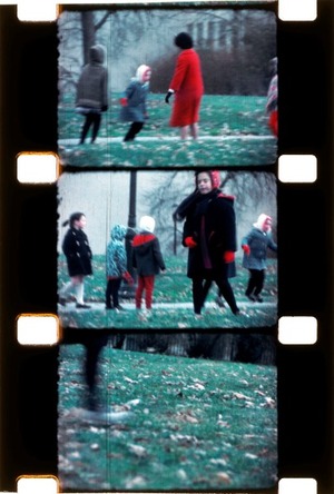 メカス「ウォルデン29」600