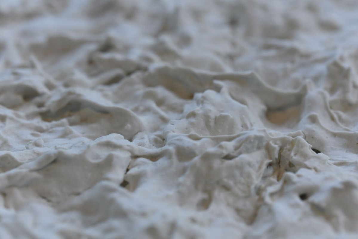 （クローズアップ）photo by Yuko Horie