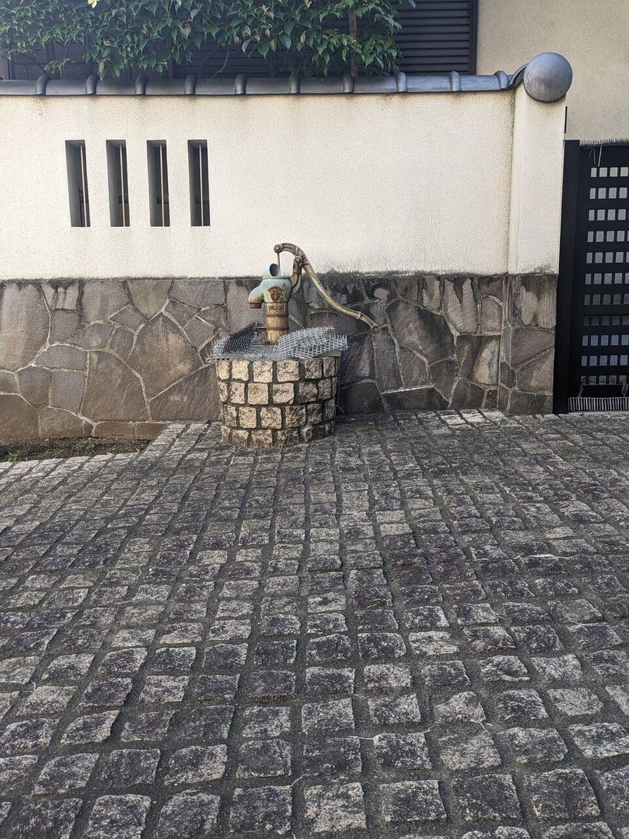 448303792_1172492787395230_4411030902238068718_n