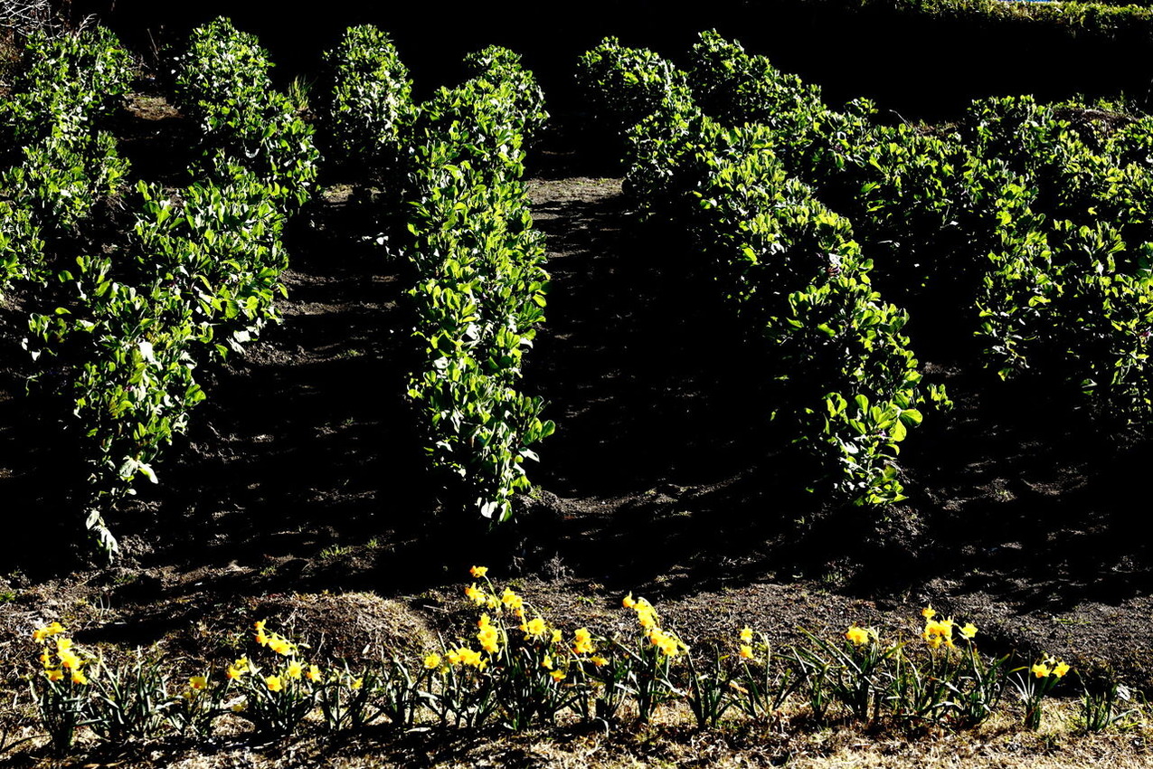 平嶋連載24おまけ2_6V7A7586-b