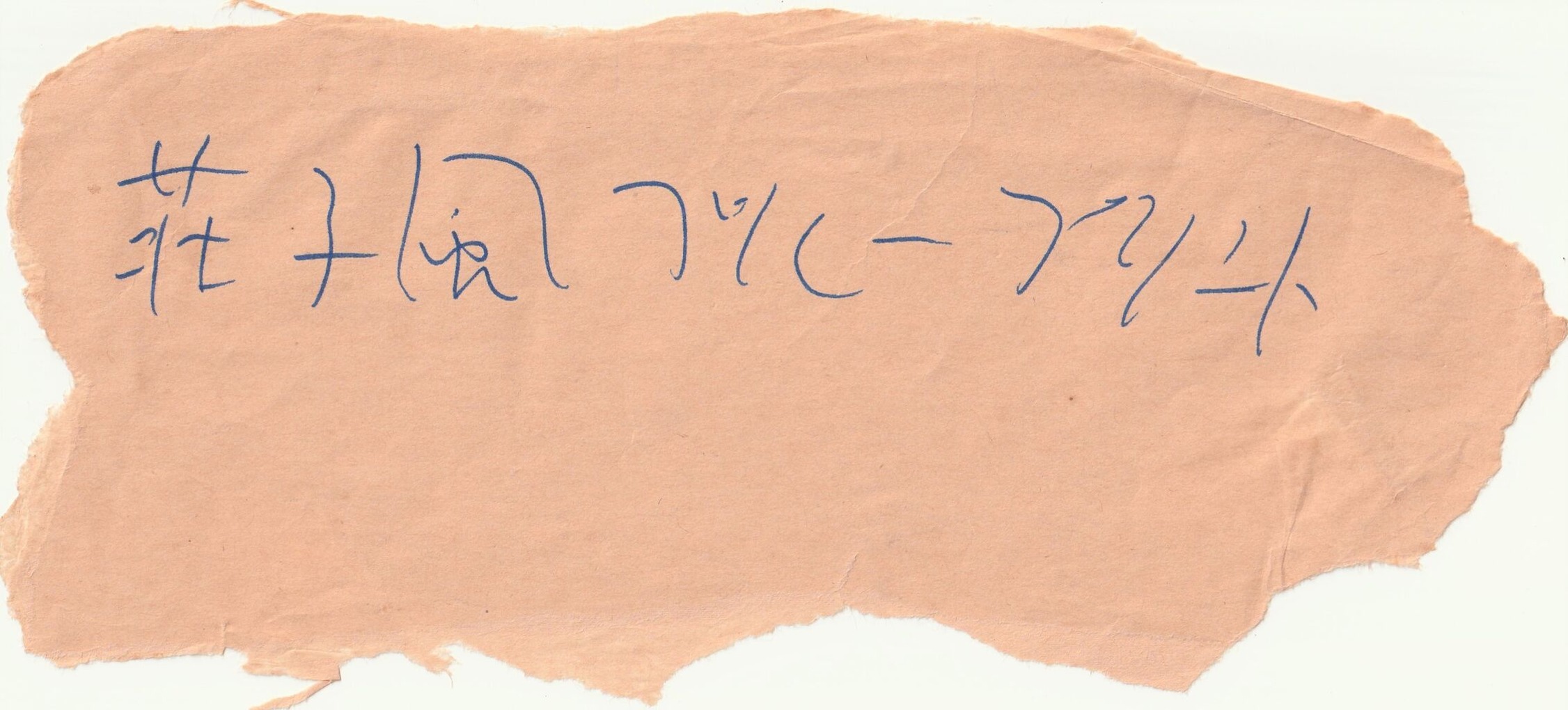 図版３.荘子風ブループリントと書かれた紙片<br />
（約11×26cm）