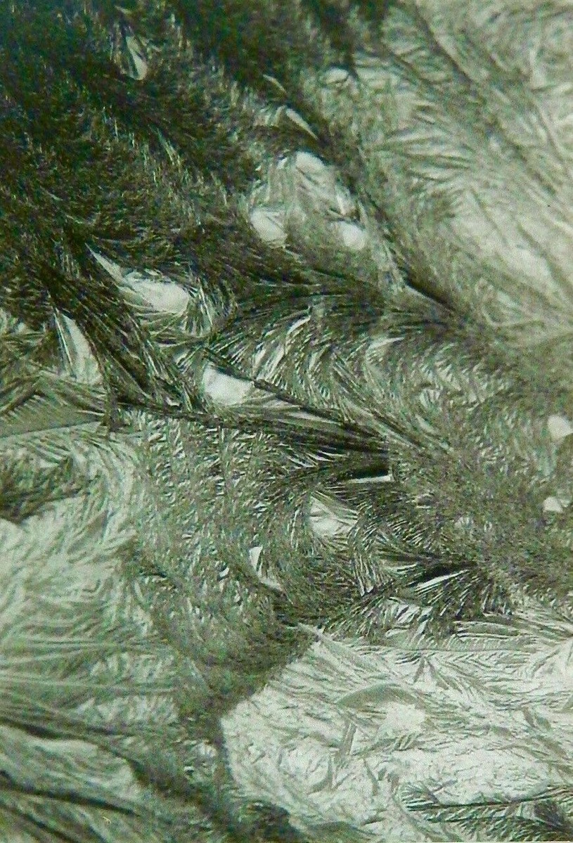 202203伊藤公象001