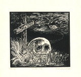 日和崎尊夫「KALPA-羊歯」