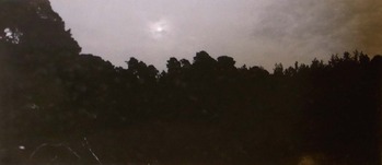 H氏コレクションLot.7　荒井浩之