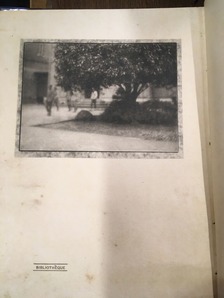 202007小国貴司_写真5