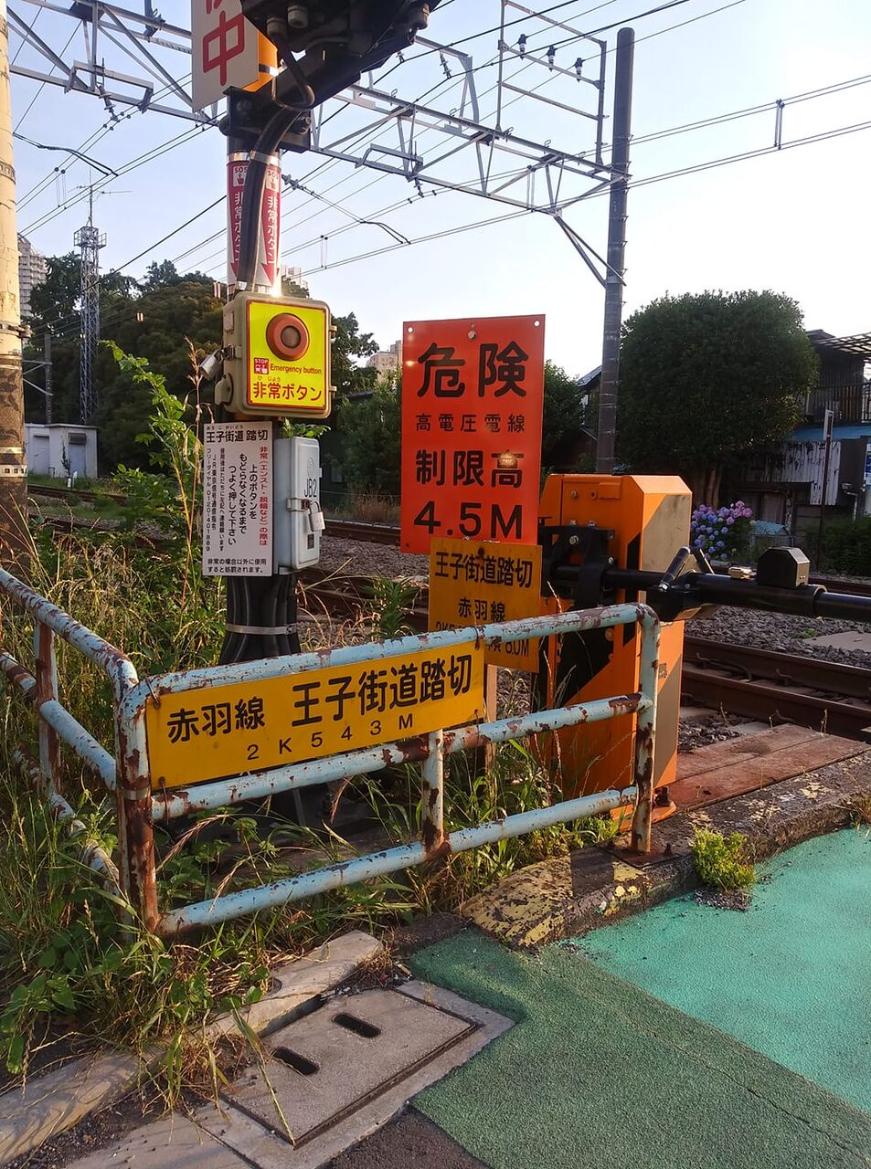 103137574_263541728290345_1789070936954344104_n