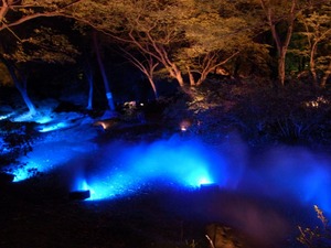 20171121_六義園_15