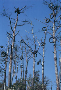 タイヤの生る木001