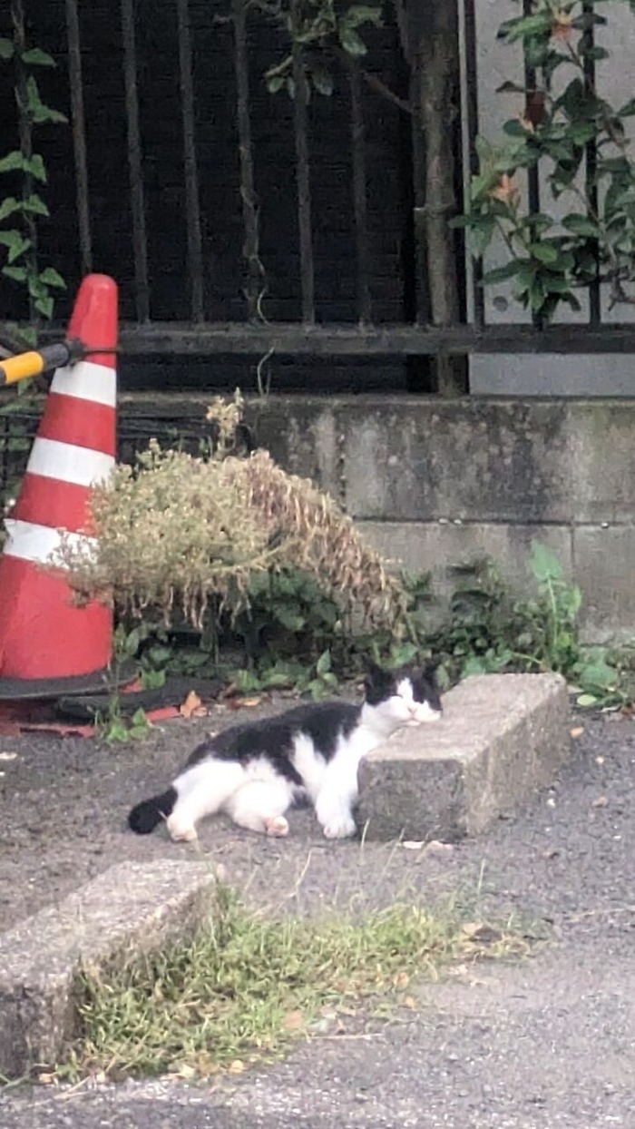 480939775_1346563343321506_5501010659953125674_n