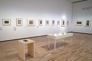 図09初期インタリオ