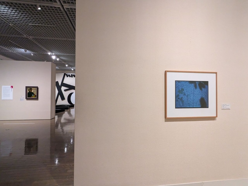 PXL_20240621_075620717