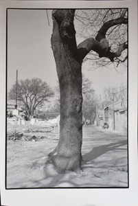 H氏コレクションLot.52　北井一夫