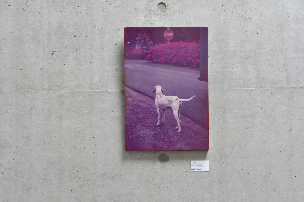 201803植田正治展_15